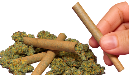 THCa Pre-rolls