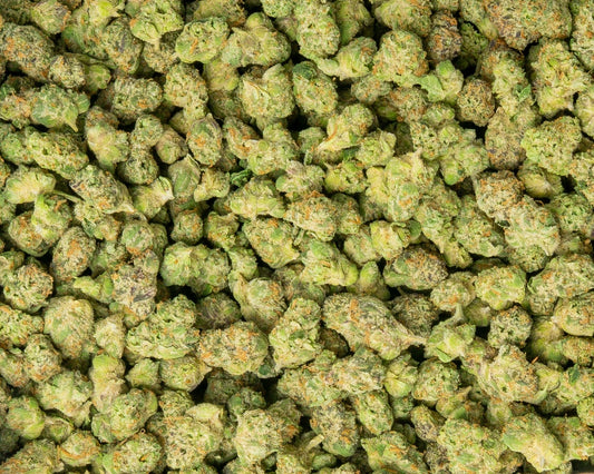 Indoor THCa Popcorn Flower – White Bugatti (I/H)