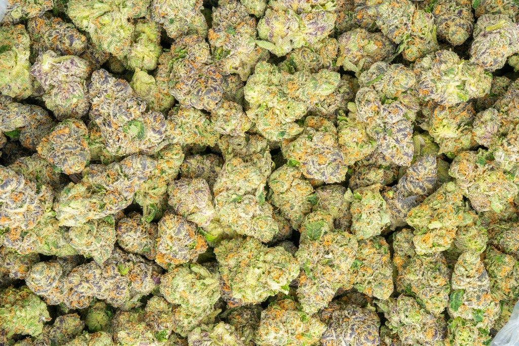 Indoor THCa Popcorn Flower – Sharpie (I/H)
