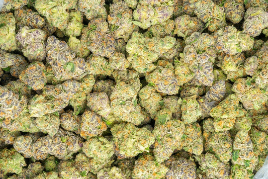 Indoor THCa Popcorn Flower – Sharpie (I/H)